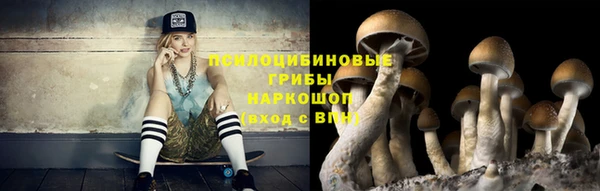 Альфа ПВП Армянск