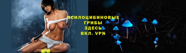 Альфа ПВП Армянск