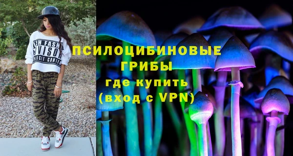 бошки Алзамай